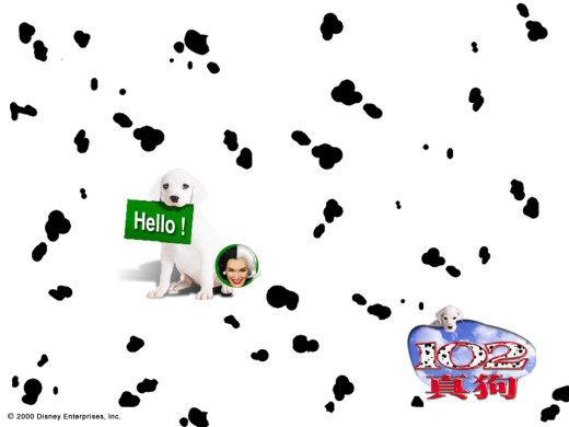 411646 (a): :1024x768